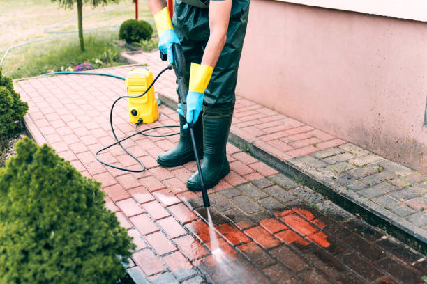 Best Driveway Pressure Washing  in Rineyville, KY